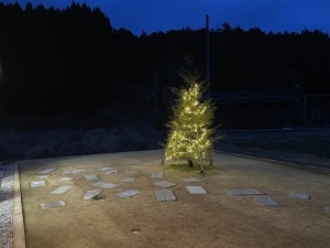 診療所の庭　冬の夜